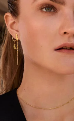 Maanesten Øreringe - Delfine - Gold Colour